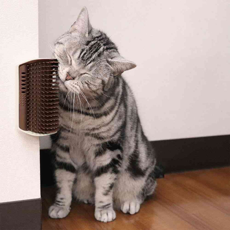 ドギーマン ねこすりグルーミング 1個