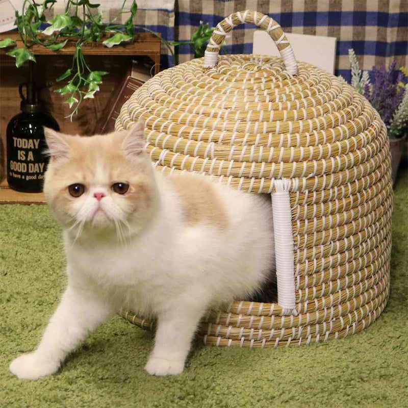 にゃんこのちぐら 夢 メーカー直送▼返品・キャンセル不可【他商品との同時購入不可】