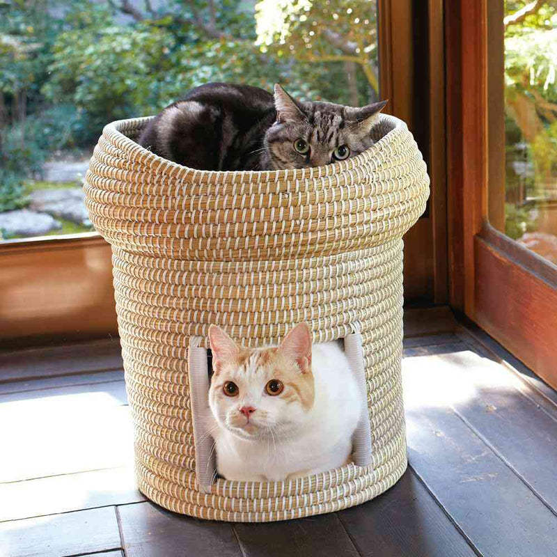 にゃんこのちぐらシリーズ なかよし2段ちぐら 夢 メーカー直送▼返品・キャンセル不可【他商品との同時購入不可】