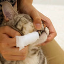 ドギーマン Kireiにしてねリッチプラスデンタルシート 30枚