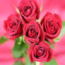 ◆礼仪玫瑰42粒