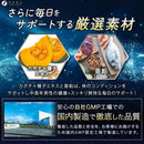 ◆ファイン ノコギリヤシdeナイト 60粒