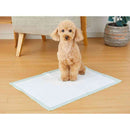 ボンビアルコン しつけるシーツダブル消臭neo ワイド 30枚