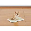 薄型しつけるトレーS アイボリー メーカー直送▼返品・キャンセル不可【他商品との同時購入不可】