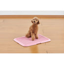 薄型しつけるトレーM ピンク メーカー直送▼返品・キャンセル不可【他商品との同時購入不可】