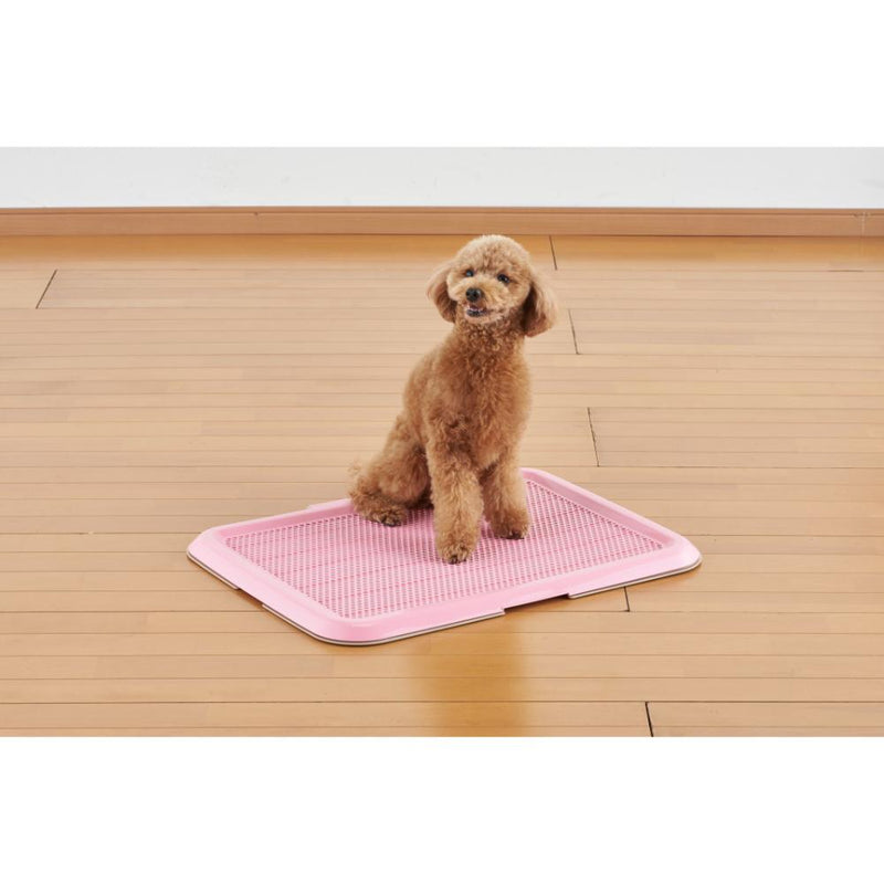 薄型しつけるトレーM ピンク メーカー直送▼返品・キャンセル不可【他商品との同時購入不可】