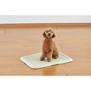 薄型しつけるトレーM アイボリー メーカー直送▼返品・キャンセル不可【他商品との同時購入不可】