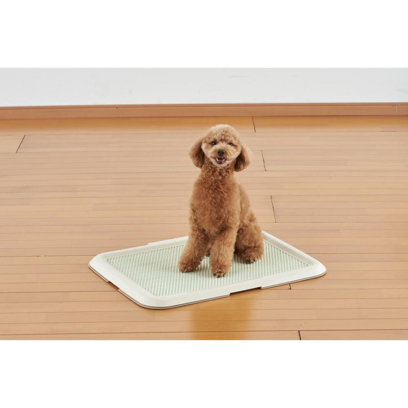 薄型しつけるトレーM アイボリー メーカー直送▼返品・キャンセル不可【他商品との同時購入不可】