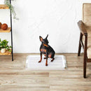 ペットレー クリアメッシュ S メーカー直送▼返品・キャンセル不可【他商品との同時購入不可】