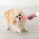 ボンビアルコン デンタルアニマル こぐま 1個