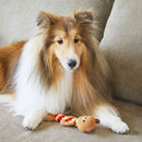 ボンビアルコン デンタルアニマル こぐま 1個