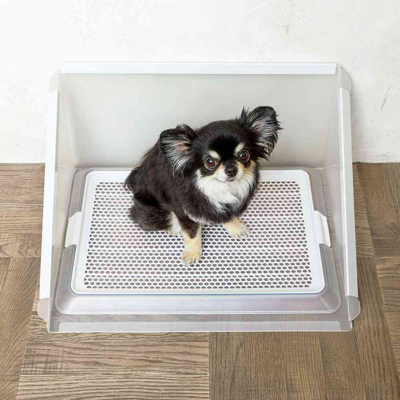 プラスクリーン Sサイズ メーカー直送▼返品・キャンセル不可【他商品との同時購入不可】
