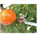 ちょこっと剪定 奥の手 SGL-20 メーカー直送 ▼返品・キャンセル不可【他商品との同時購入不可】