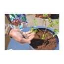 花ごころ ブルーベリーの肥料 1.2kg