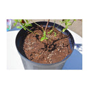 花ごころ ブルーベリーの肥料 1.2kg