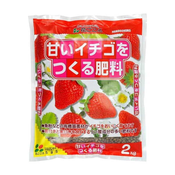 花ごころ 甘いイチゴをつくる肥料 2kg