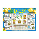 花ごころ レモン・ミカン・柑橘の肥料 500g