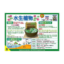花ごころ 水生植物の肥料 120g