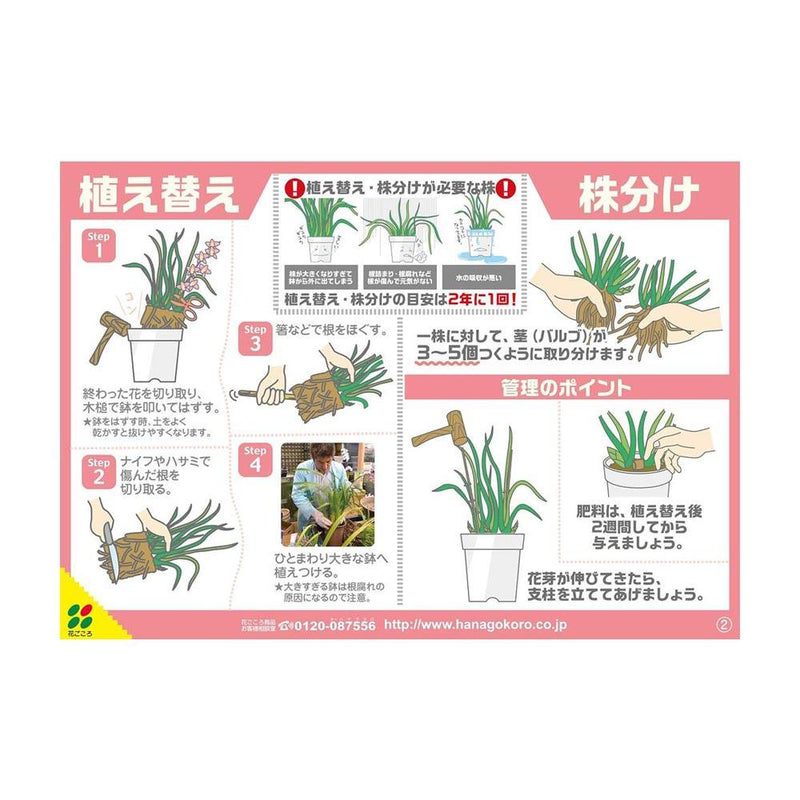 花ごころ 洋らんバーク 5L
