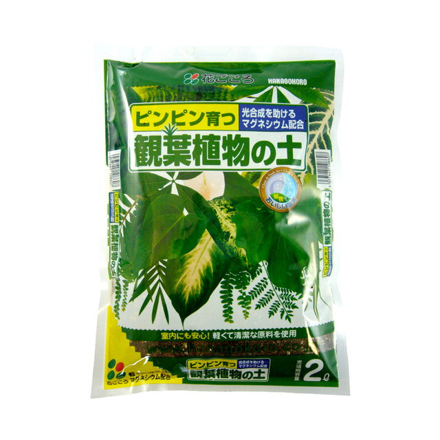 Hanagokoro Houseplant Soil 2L