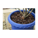 花ごころ バラ専用マルチングチップ 5L