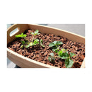 花ごころ コンテナガードS 3L