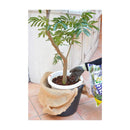 花ごころ コンテナガードS 3L