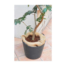 花ごころ コンテナガードS 3L