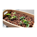 花ごころ コンテナガードM 3L