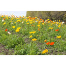 H005901 ハイポネックス 緑化培養土 （1袋入） メーカー直送 ▼返品・キャンセル不可【他商品との同時購入不可】