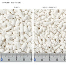 ペパーレット カタピー小粒タイプ ６Ｌ