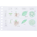 マルマン ミニサイズ ルーズリーフ 無地