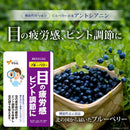 ◆【功能性食品】八幡30北国蓝莓