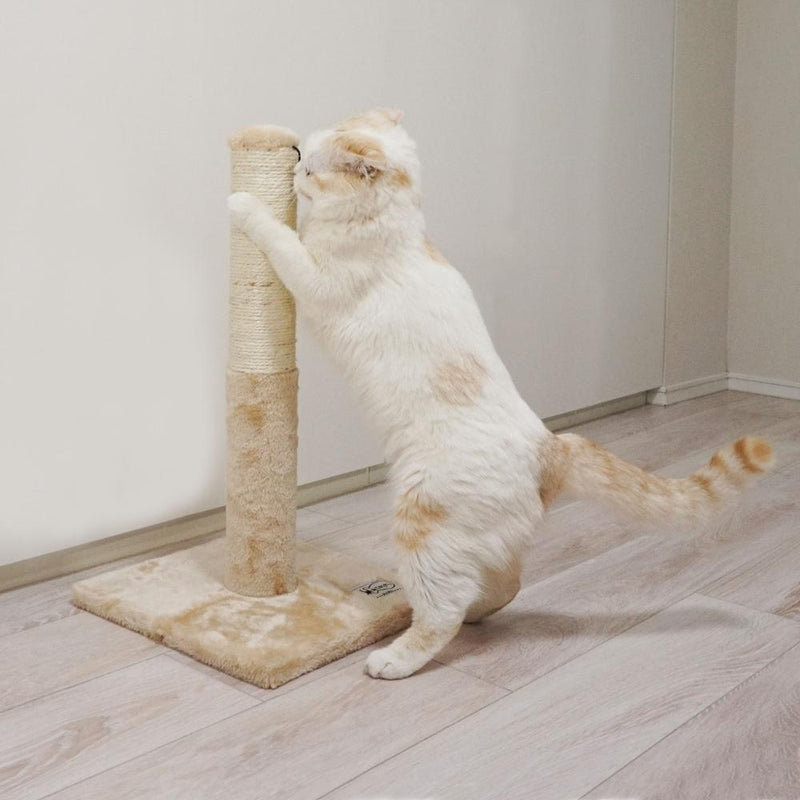 ねこがくれ ねこちゃん大好き爪とぎ キャットタワー ポール メーカー直送▼返品・キャンセル不可【他商品との同時購入不可】