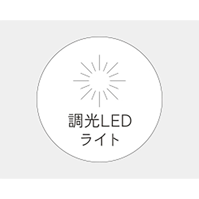 ハリウッドミラー KBE3170S メーカー直送 ▼返品・キャンセル不可【他商品との同時購入不可】