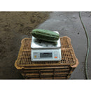 カスタム デジタル防水はかり メーカー直送 ▼返品・キャンセル不可【他商品との同時購入不可】