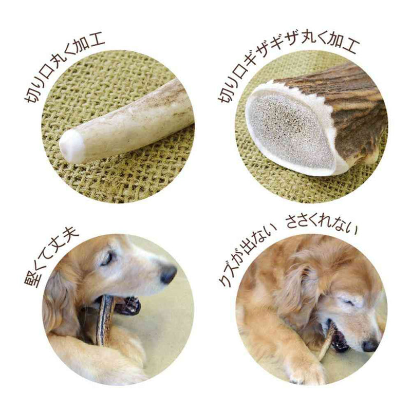ベニソンアントラー L メーカー直送 ▼返品・キャンセル不可【他商品との同時購入不可】