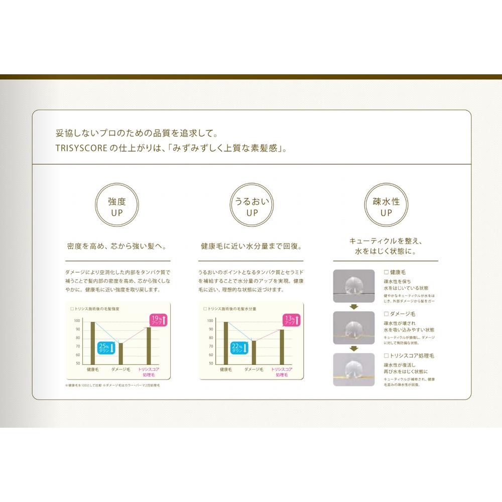 ナンバースリー トリシスコア CEプラス ヘアトリートメント 12g×4包