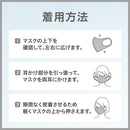 アラクス PITTA MASK（ピッタマスク） LIGHTGRAY レギュラー 3枚入