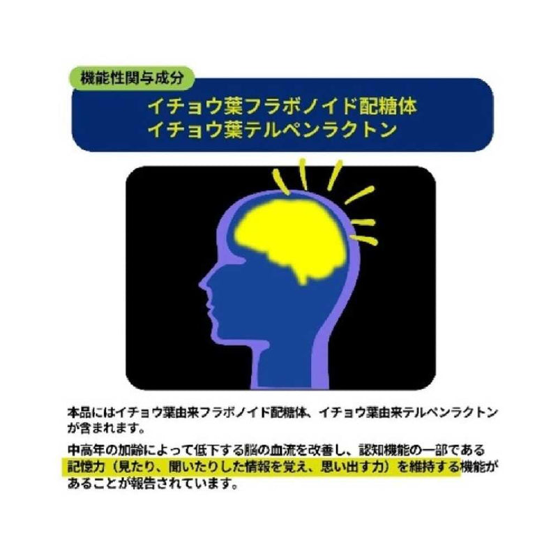 ◆【機能性表示食品】大木製薬 ブレインアシスト イチョウ葉エキスα 60粒