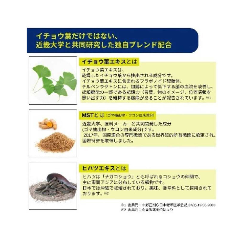 ◆【機能性表示食品】大木製薬 ブレインアシスト イチョウ葉エキスα 60粒