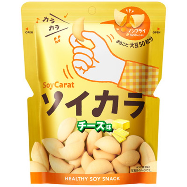 ◆大塚 ソイカラチーズ 27g　