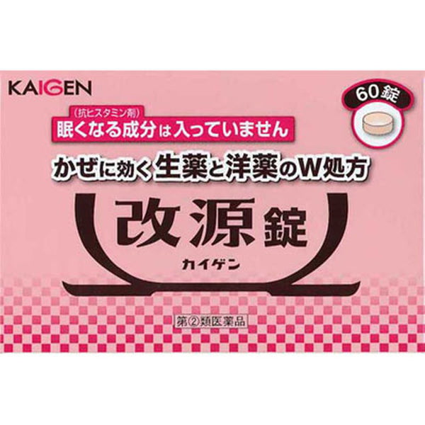 【指定第2類医薬品】改源錠 （カイゲン）60錠【セルフメディケーション税制対象】