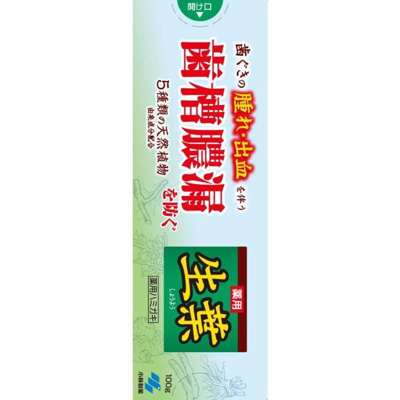 【医薬部外品】小林製薬 薬用ハミガキ 生葉 100g