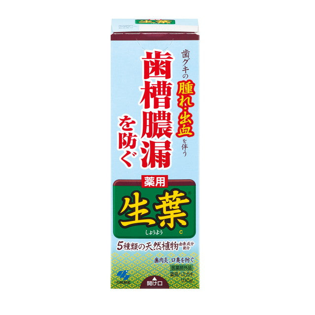 【医薬部外品】小林製薬 薬用ハミガキ 生葉 100g