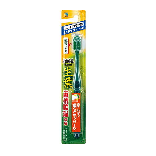 Kobayashi Pharmaceutical Fresh Leaves Extra Width Brush Regular Softer 1 号