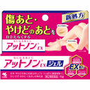 [第2类药品] Atnon EX Gel 0