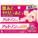 【第2類医薬品】アットノンEXクリーム0