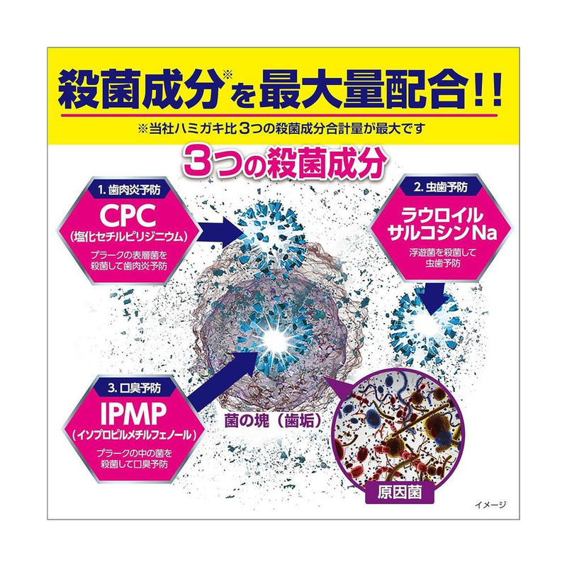 【医薬部外品】小林製薬 ゼローラマイルドミント 90G