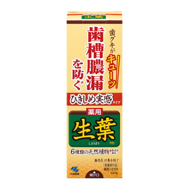 【医薬部外品】小林製薬 ひきしめ実感 薬用生葉 100g